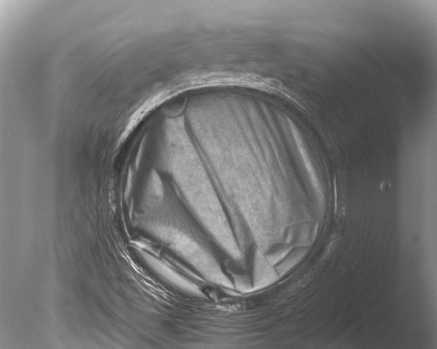 X0000085741501200703301414