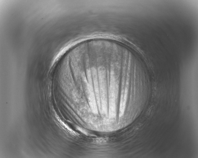 X0000085741504200703301414