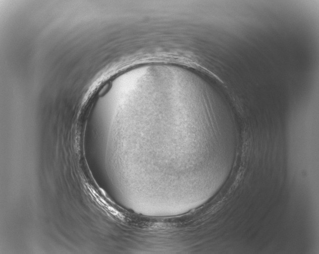 X0000085741506200703301414
