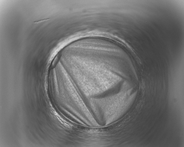 X0000085741512200703301414