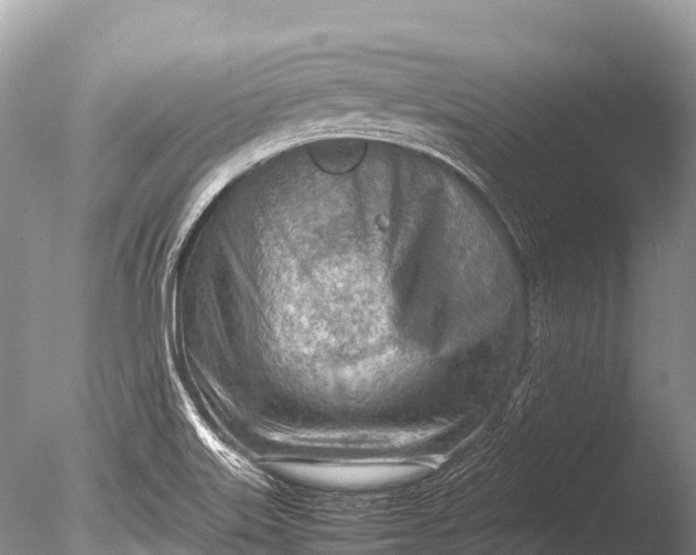 X0000085741515200703301414