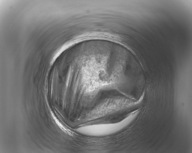 X0000085741523200703301414