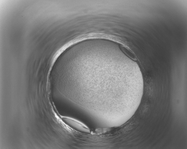 X0000085741527200703301414
