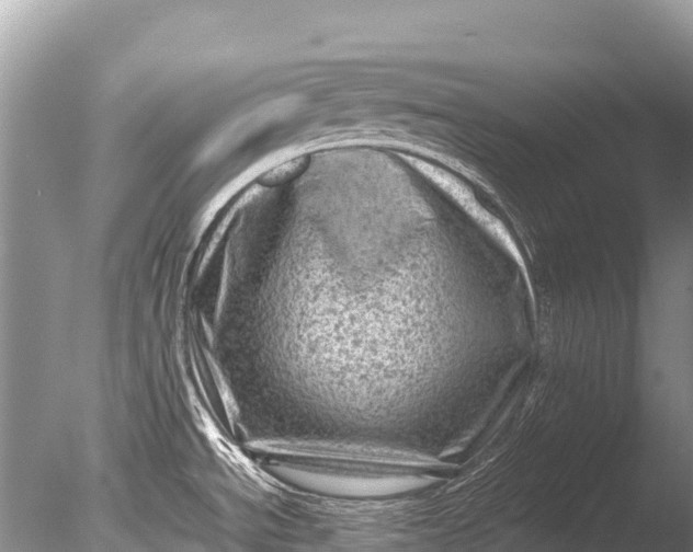 X0000085741534200703301415