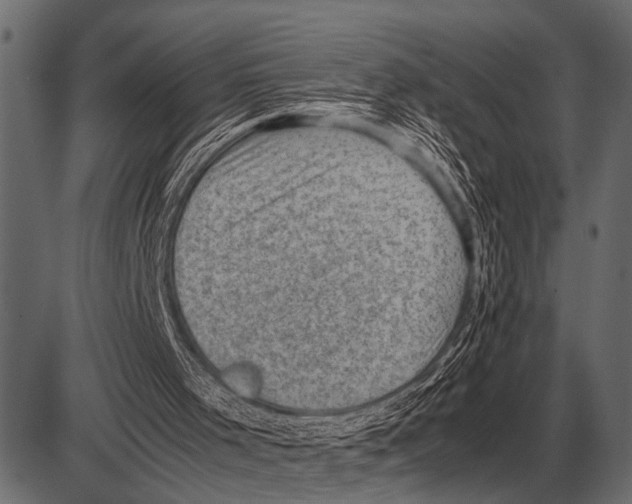 X0000085740001200704091522