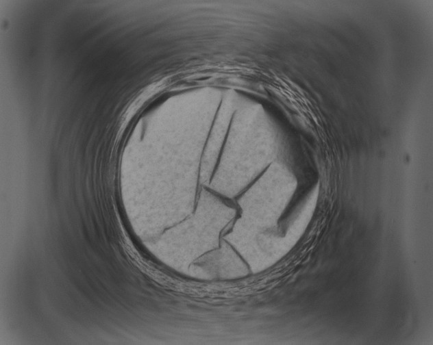 X0000085740003200704091522