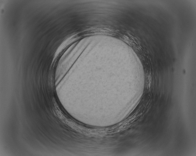 X0000085740004200704091522