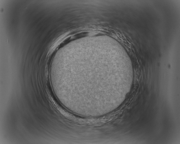 X0000085740005200704091522