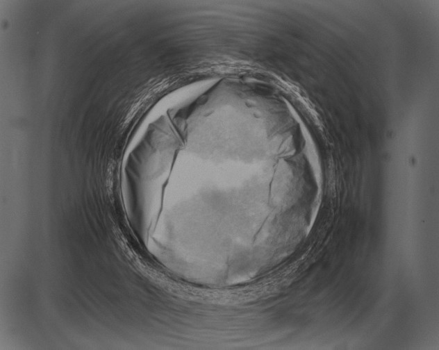 X0000085740010200704091521