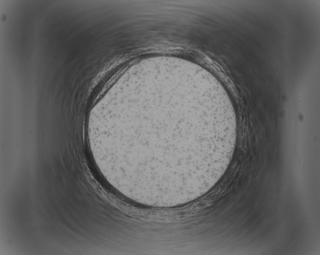 X0000085740011200704091521