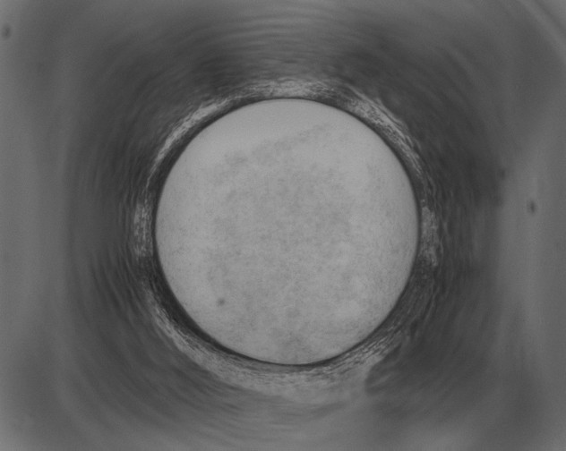 X0000085740012200704091521