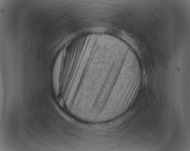 X0000085740013200704091521