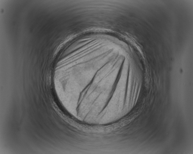 X0000085740015200704091521