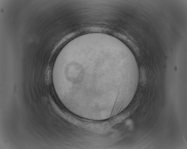 X0000085740016200704091521