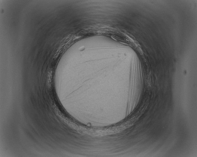 X0000085740018200704091521