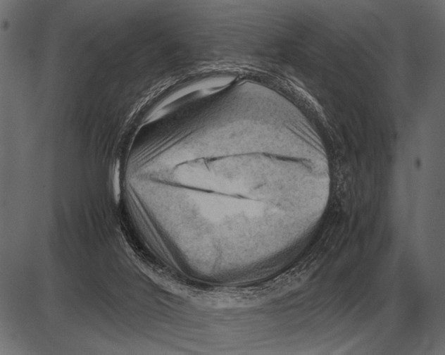 X0000085740020200704091521