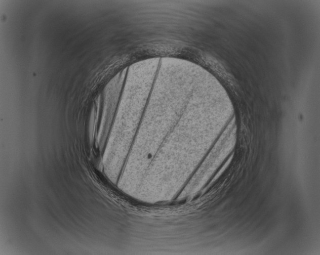 X0000085740021200704091521