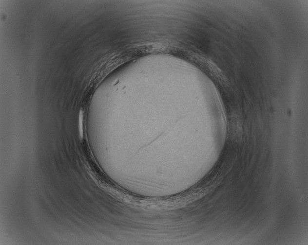 X0000085740022200704091521