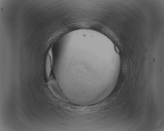 X0000085740023200704091521