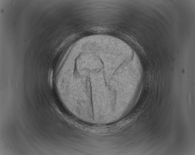 X0000085740024200704091521