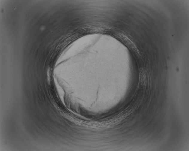 X0000085740026200704091521