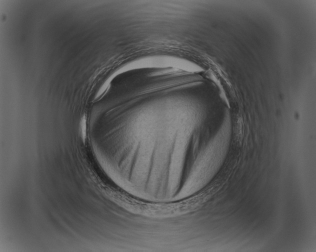 X0000085740027200704091521