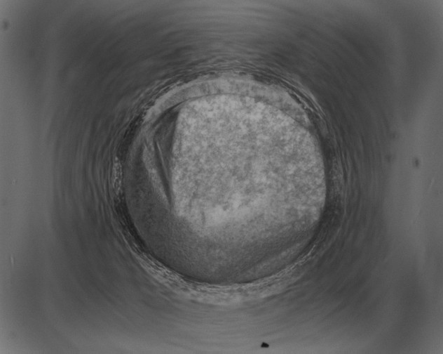 X0000085740029200704091521