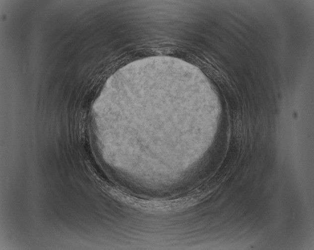 X0000085740030200704091521