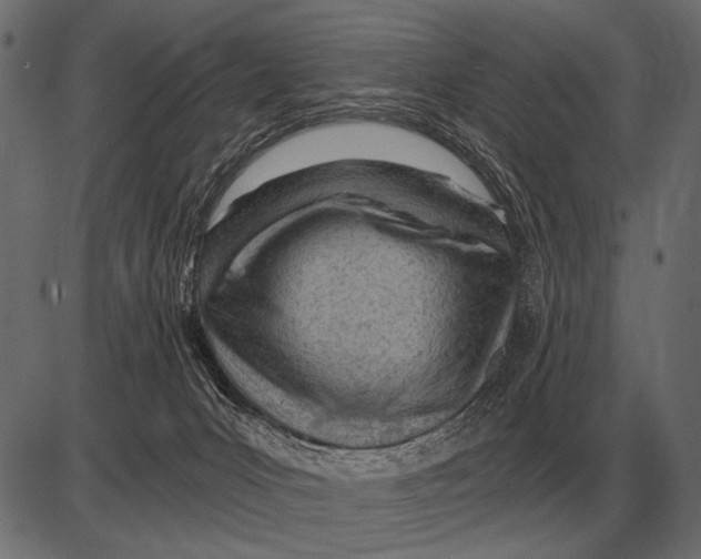X0000085740031200704091521