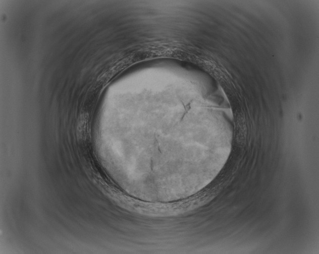 X0000085740034200704091521