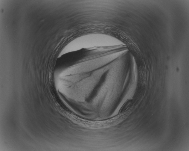 X0000085740035200704091521