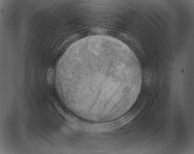 X0000085740036200704091521