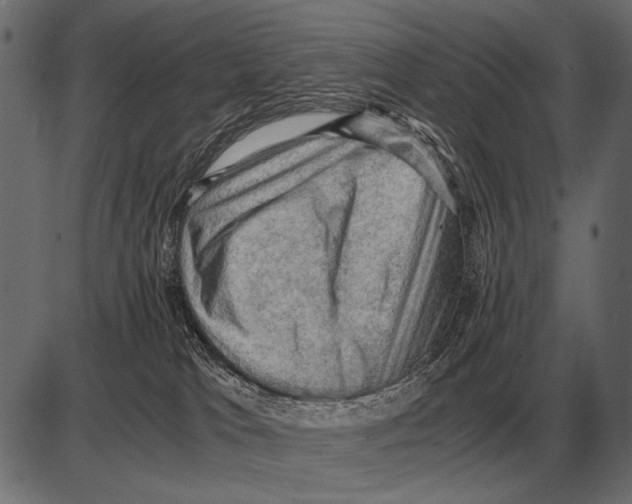X0000085740037200704091521