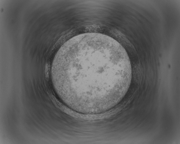 X0000085740038200704091521