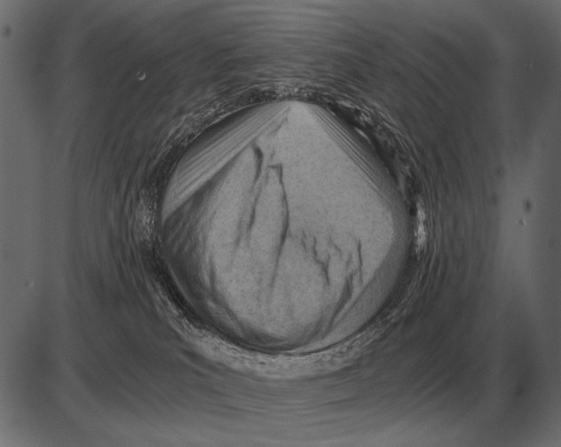 X0000085740039200704091521