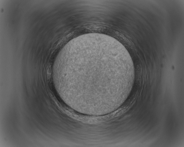 X0000085740040200704091521