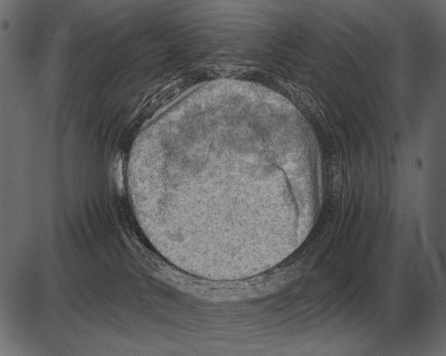 X0000085740042200704091521