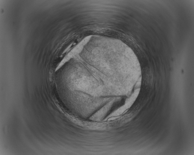 X0000085740044200704091521