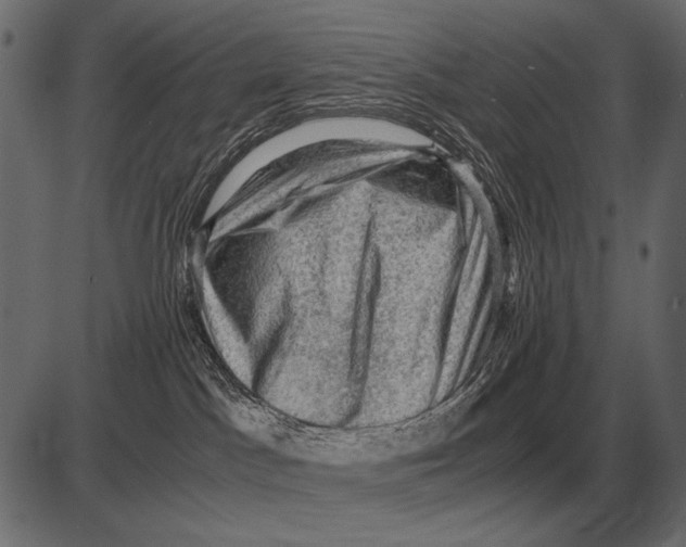 X0000085740045200704091521