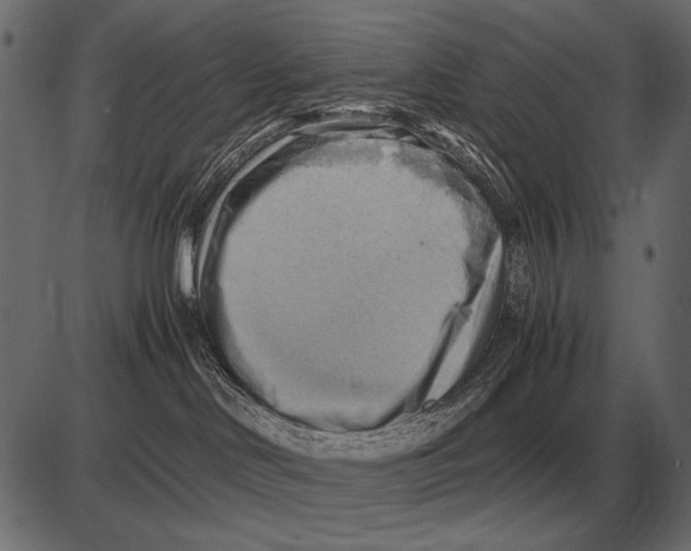 X0000085740046200704091521