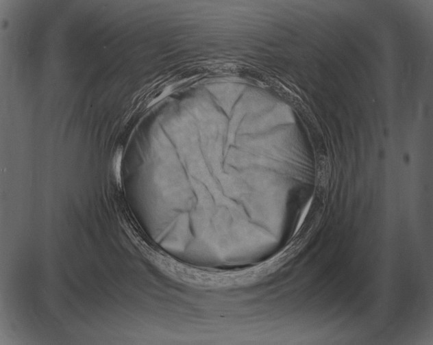 X0000085740047200704091521