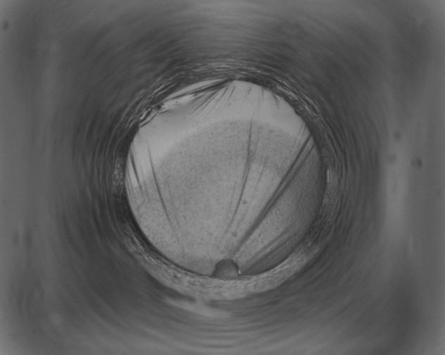 X0000085740048200704091521