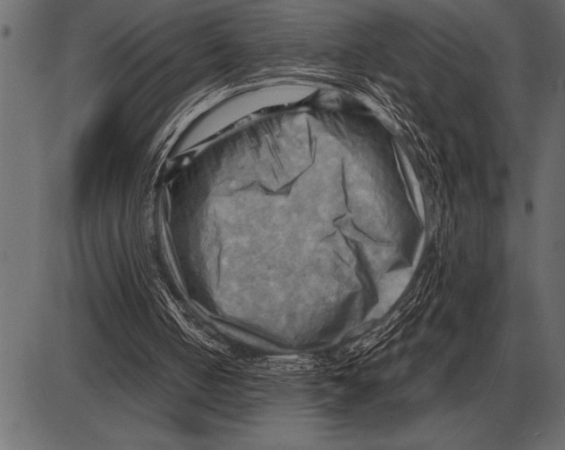 X0000085740050200704091520