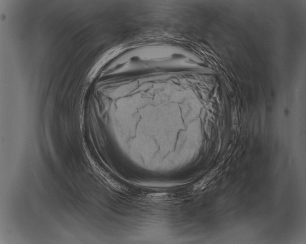 X0000085740054200704091520