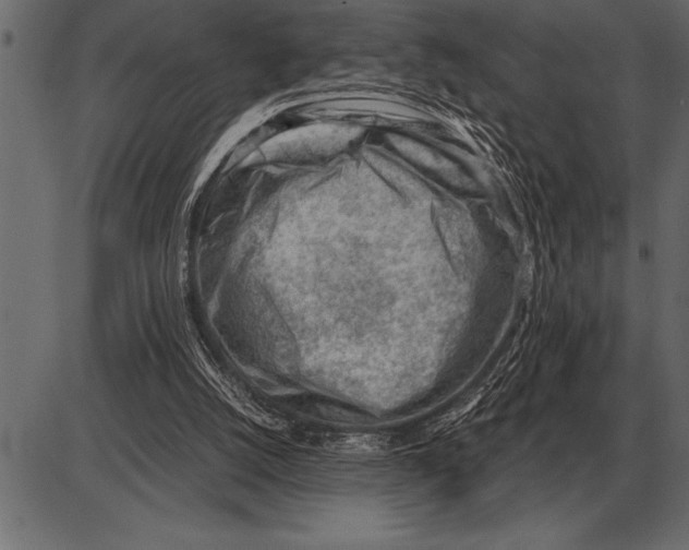 X0000085740056200704091520