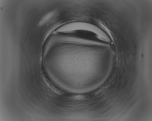 X0000085740059200704091520
