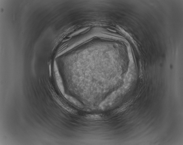X0000085740061200704091520