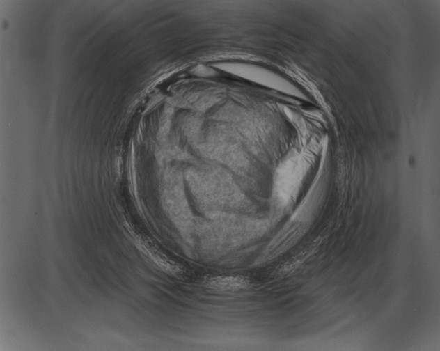 X0000085740063200704091520