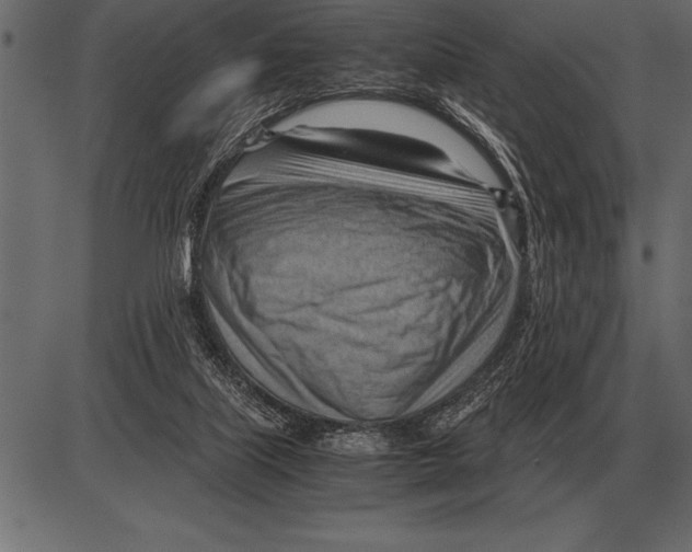 X0000085740067200704091520