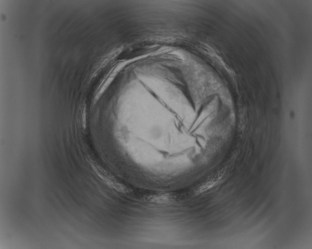 X0000085740068200704091520
